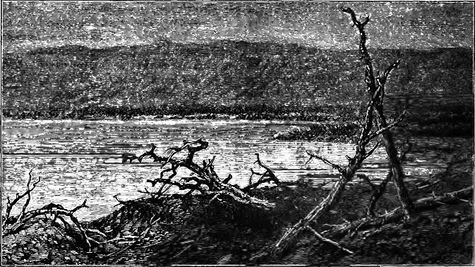 North End of the Dead Sea
